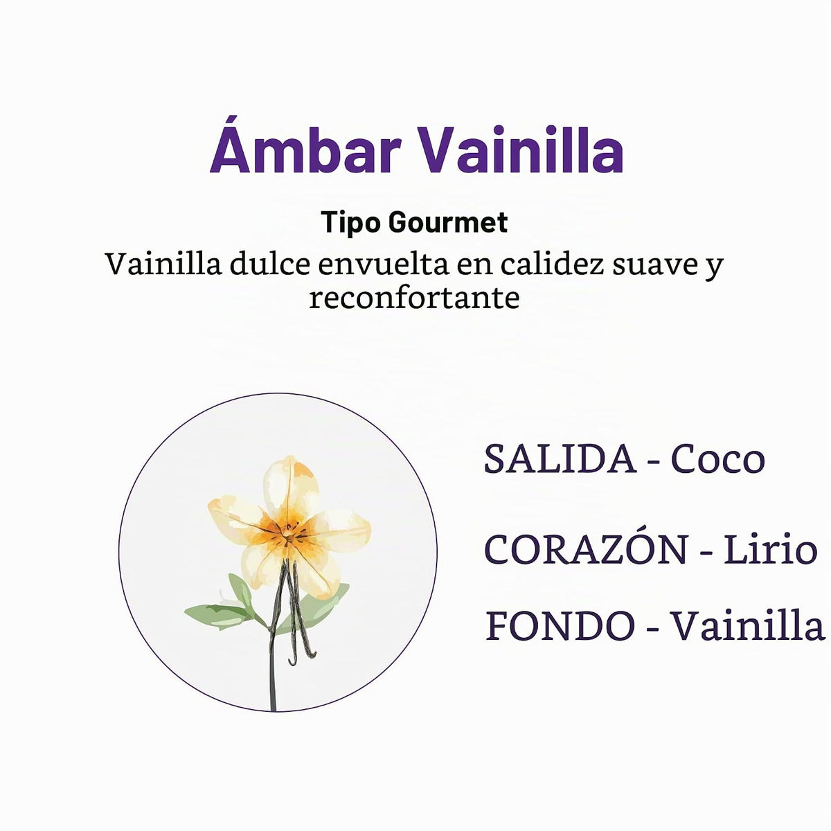 KUNDAL Juego de champú y acondicionador coreano [vainilla ámbar] ca...