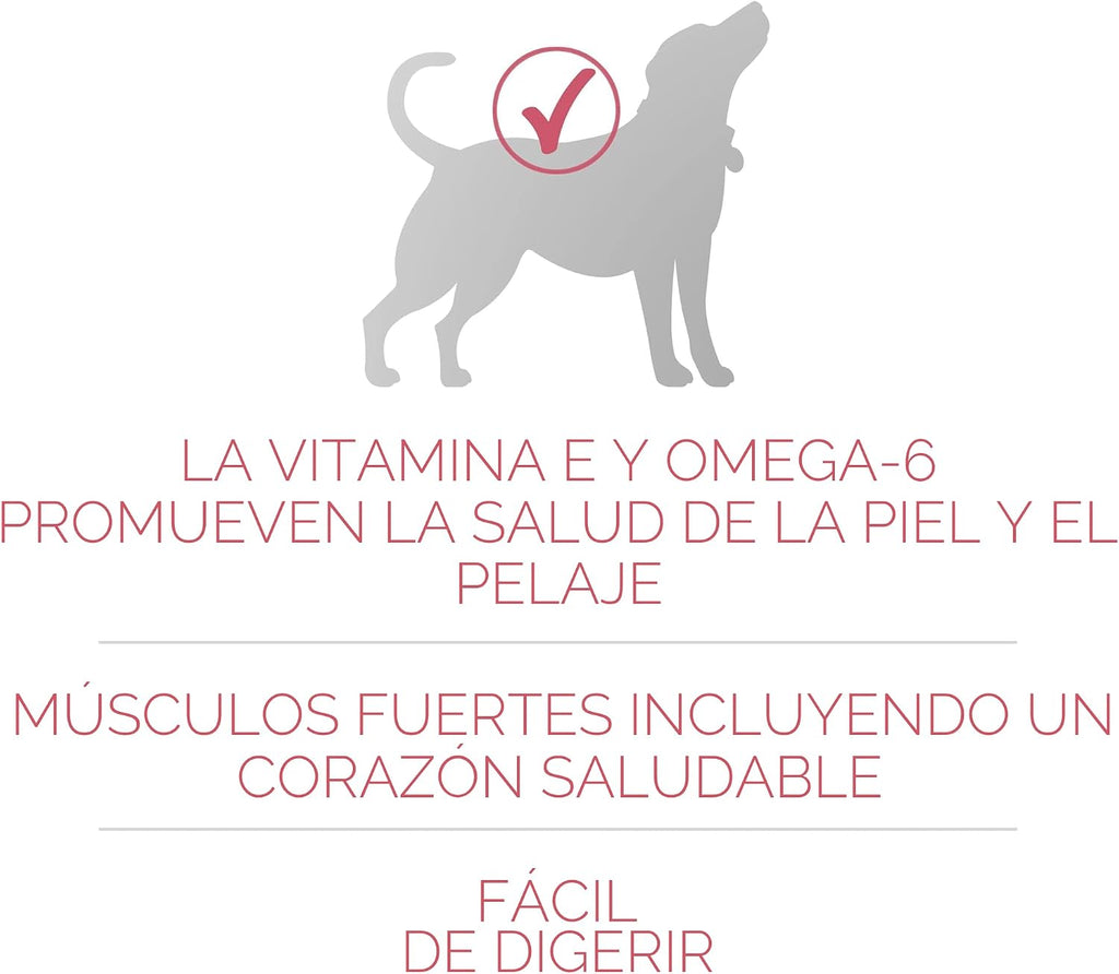 Purina ONE Alimento seco natural para perros con estómago sensible,...