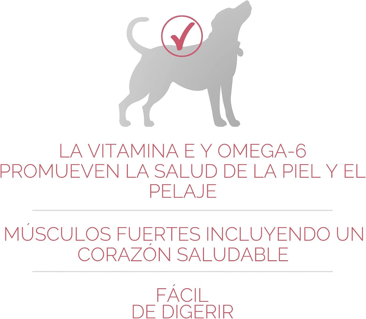 Purina ONE Alimento seco natural para perros con estómago sensible,...