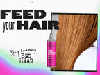 Bed Head by TIGI Frizz Control Champú y acondicionador para cabello...