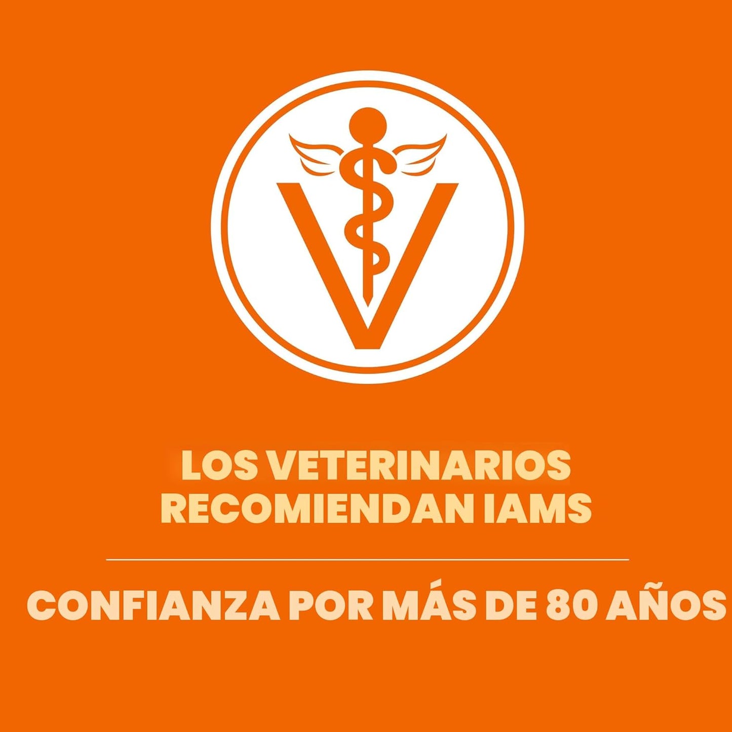 IAMS Proactive Health Alimento seco saludable para gatos adultos co...