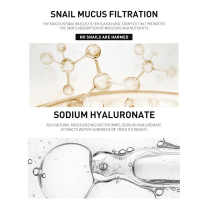 2 uds. Mucina de caracol avanzada 96% Esencia reparadora de energía, mucina de caracol 96% - Suero antienvejecimiento, con filtrado de secreción de caracol para apagado (02)