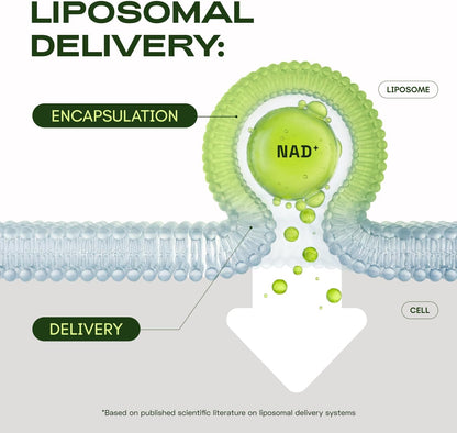 Cata-Kor Suplemento liposomal NAD con resveratrol \u2013 Alternativ...