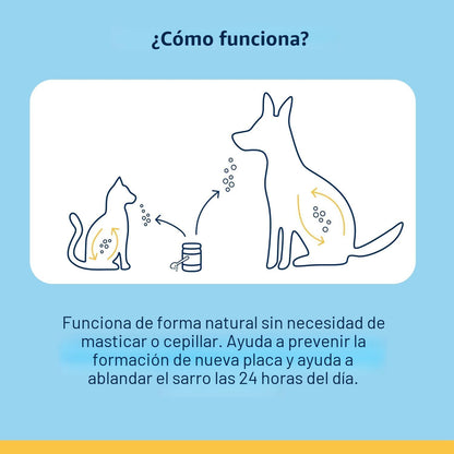 Polvo para eliminar placa dental ProDen