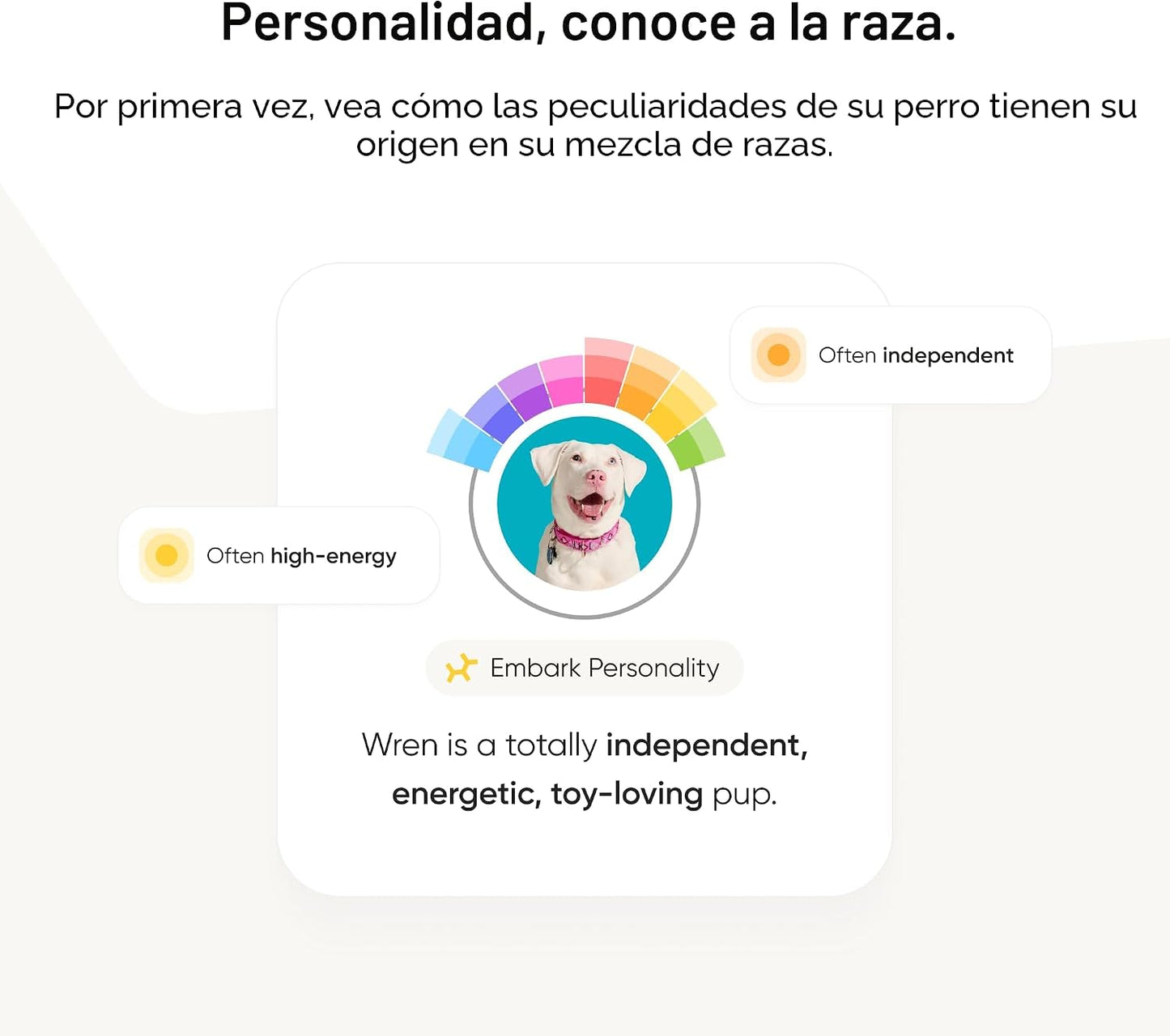 Kit de identificación de raza Embark - Kit de prueba de ADN para pe...