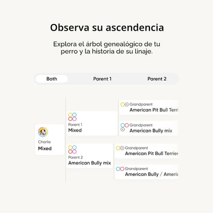 Kit de identificación de raza Embark - Kit de prueba de ADN para pe...