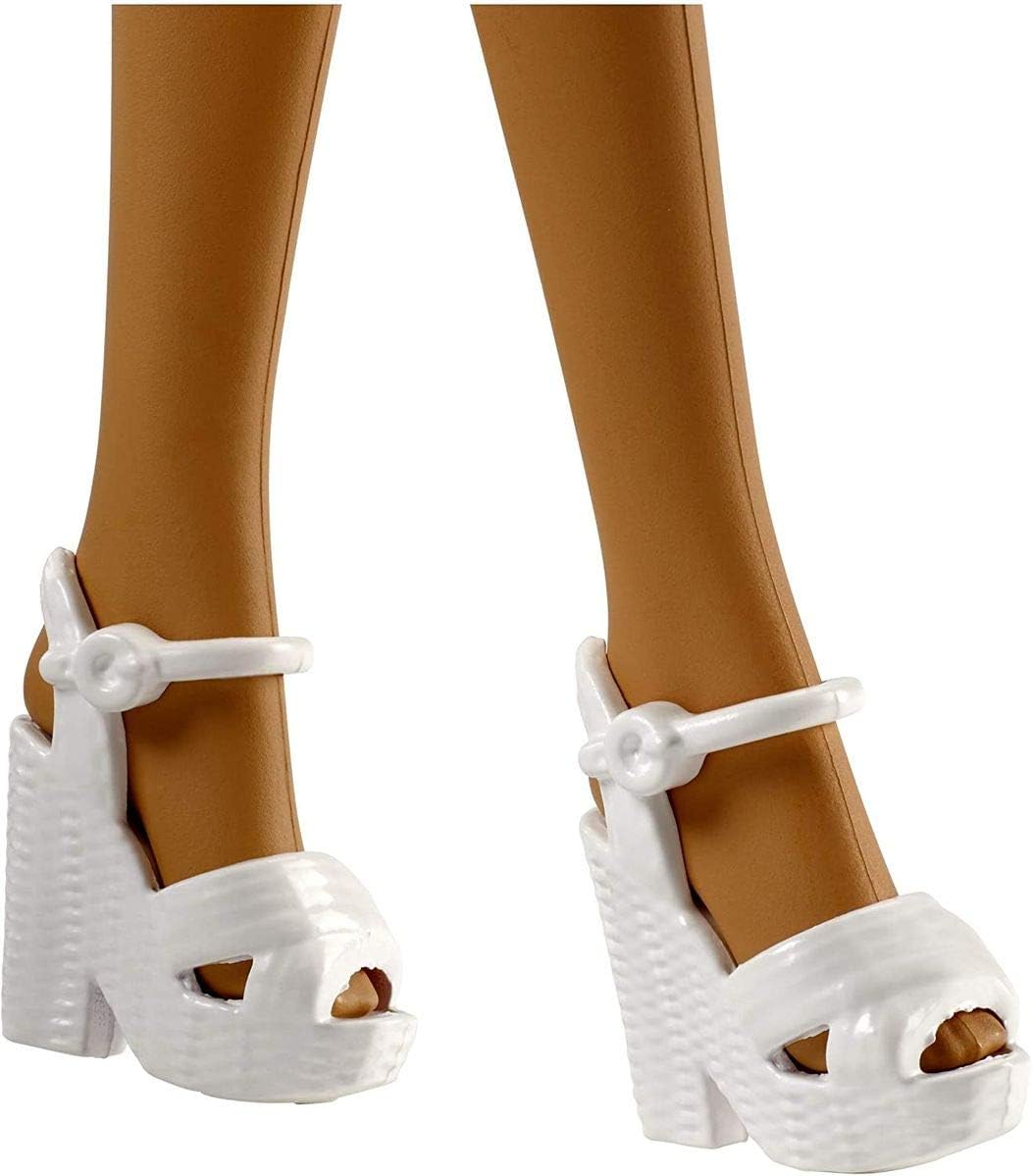 Barbie Muñeca y accesorios