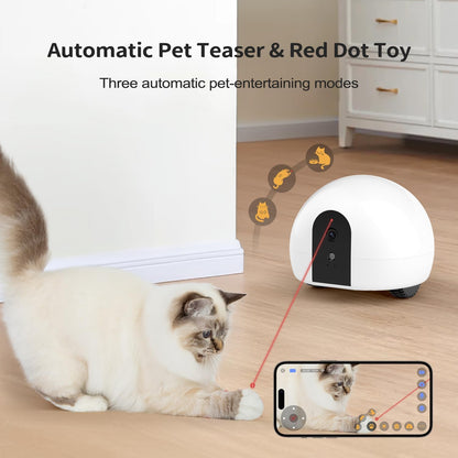 pumpkii Cámara para gatos con juguete puntero interactivo, robot mó...
