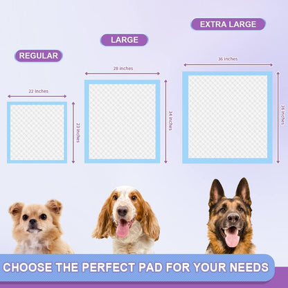 IMMCUTE - Almohadillas para orina de cachorros de 22"x23",...