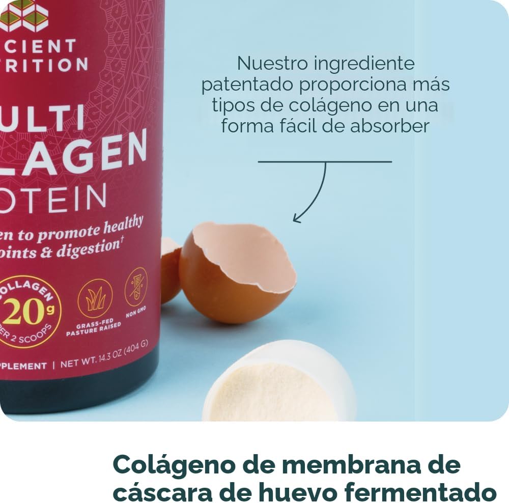 Ancient Nutrition - Péptidos de colágeno en polvo, proteína multi-c...