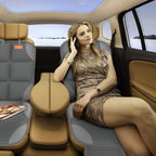SMART ELF Paquete de 2 protectores de asiento de coche en caja de r...