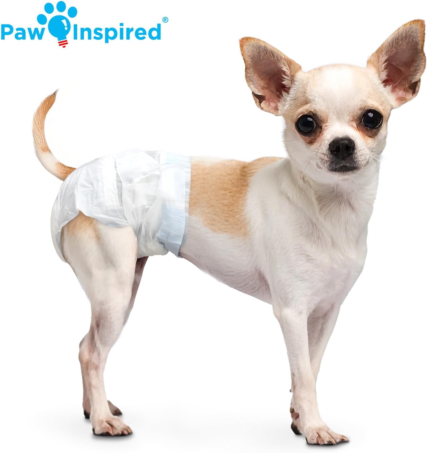 Paw Inspired Pañales desechables para perras, pañales para perras d...