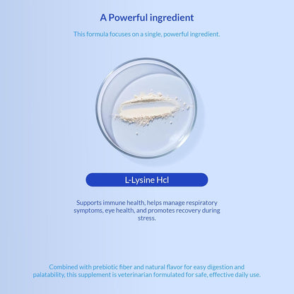 Suplemento de L-lisina para gatos 900 mg\/cucharada - Suplemento pa...
