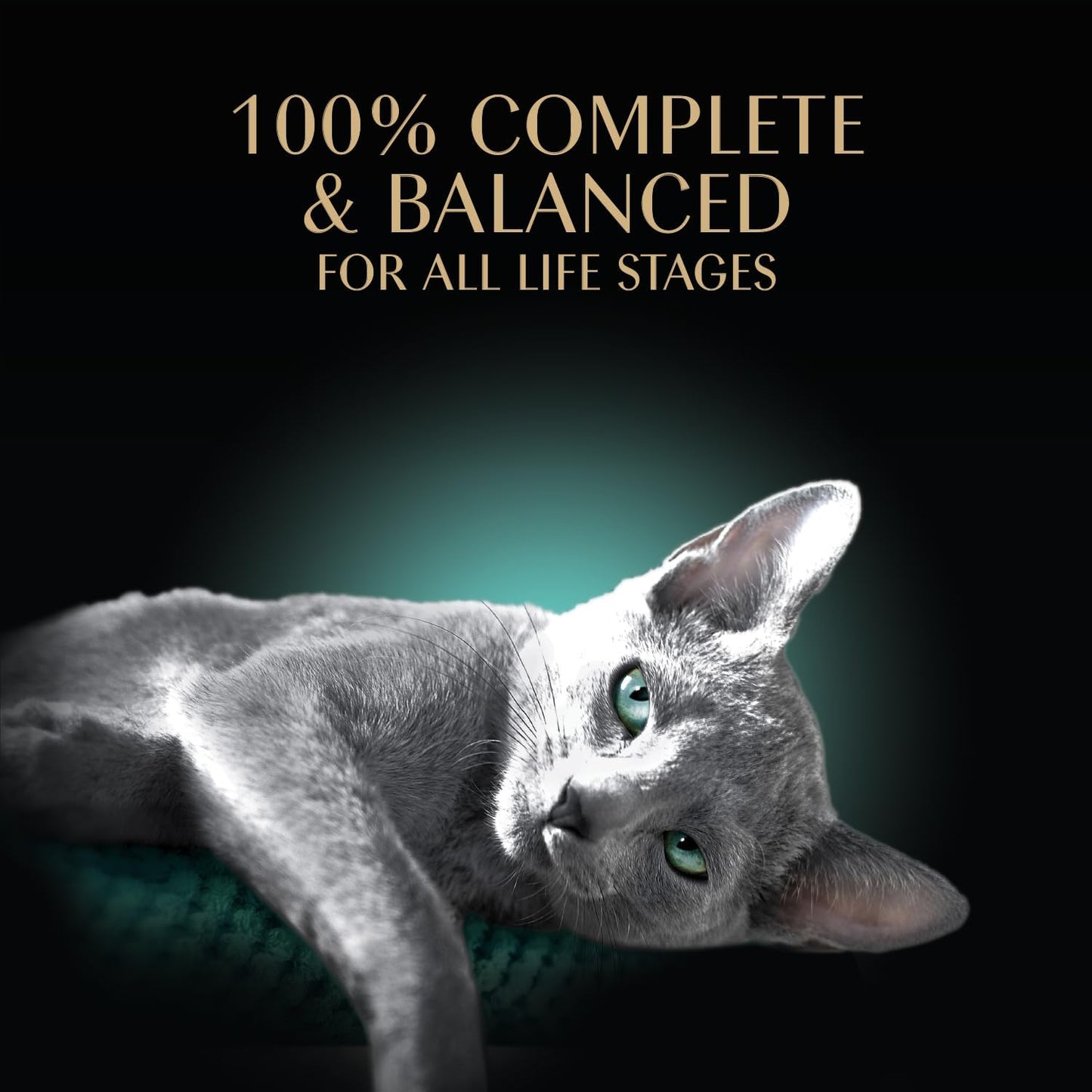 Sheba Perfect Portions - Comida húmeda para gatos en porciones perf...