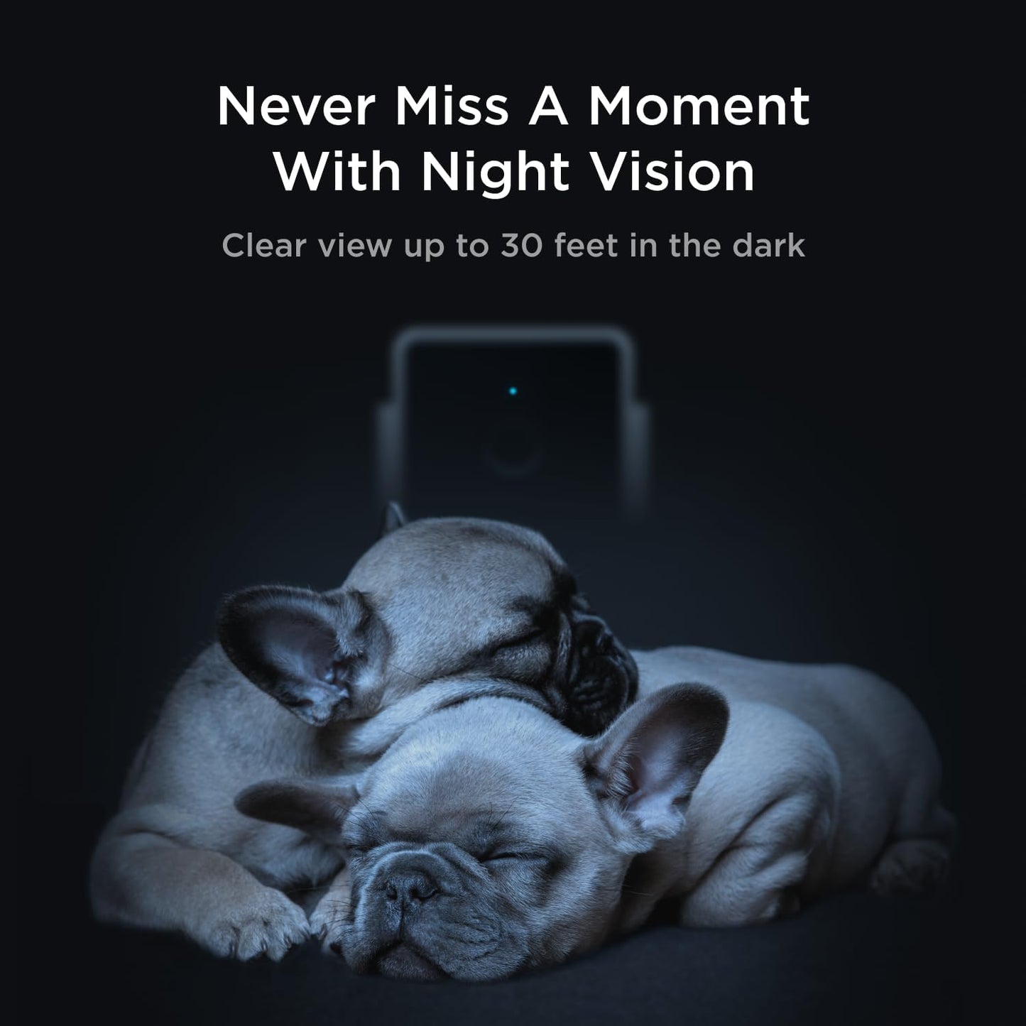 Petcube Cam The Pack de 2 | Cámara de seguridad para mascotas Wi-Fi...