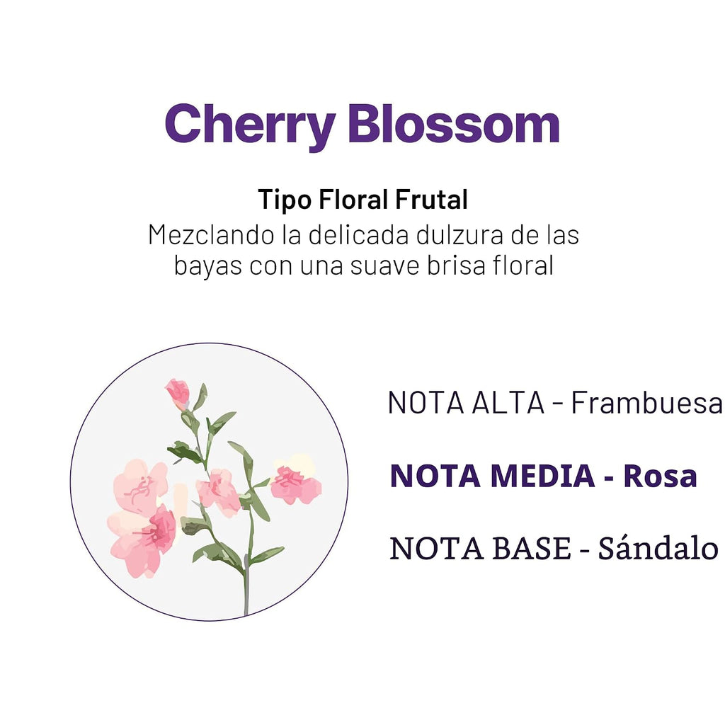 KUNDAL Juego de champú y acondicionador coreano [flor de cerezo] ca...