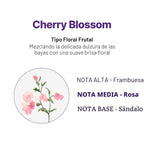 KUNDAL Juego de champú y acondicionador coreano [flor de cerezo] ca...