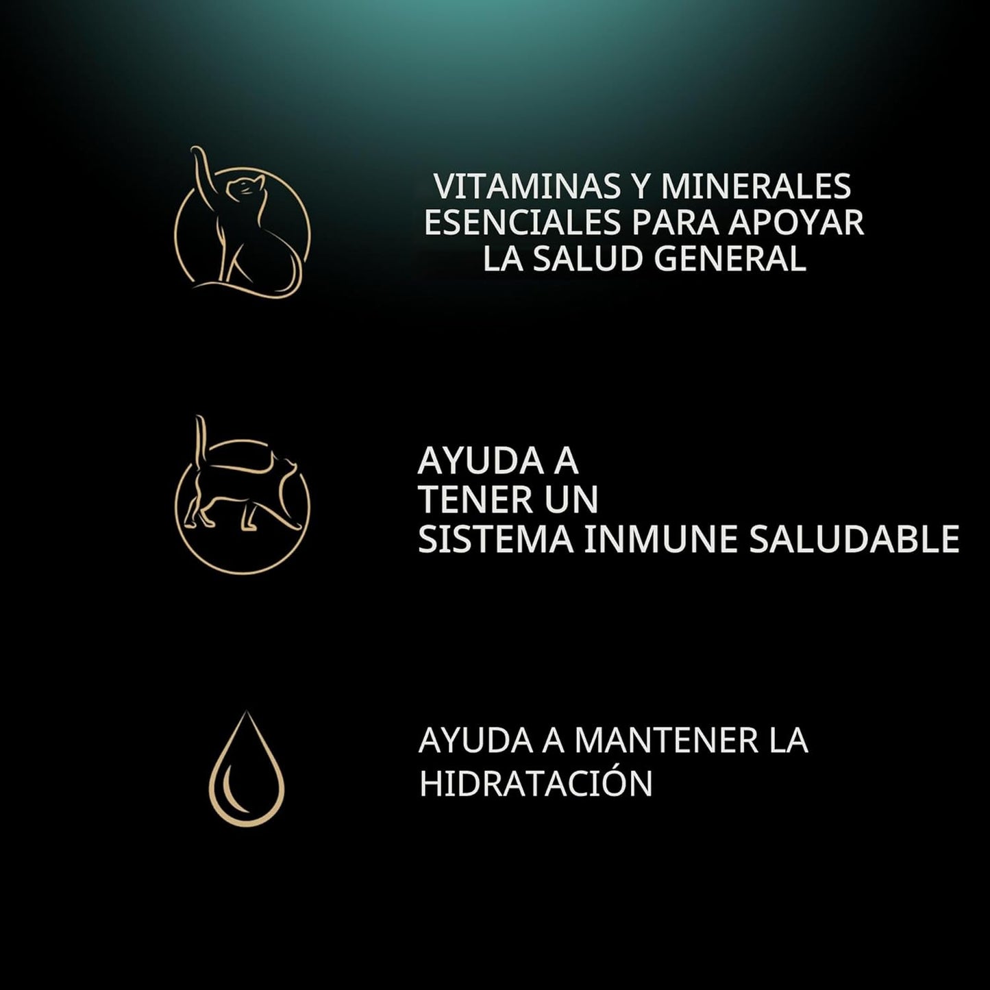 SHEBA - Bandejas de porciones perfectas de comida húmeda para gatos...