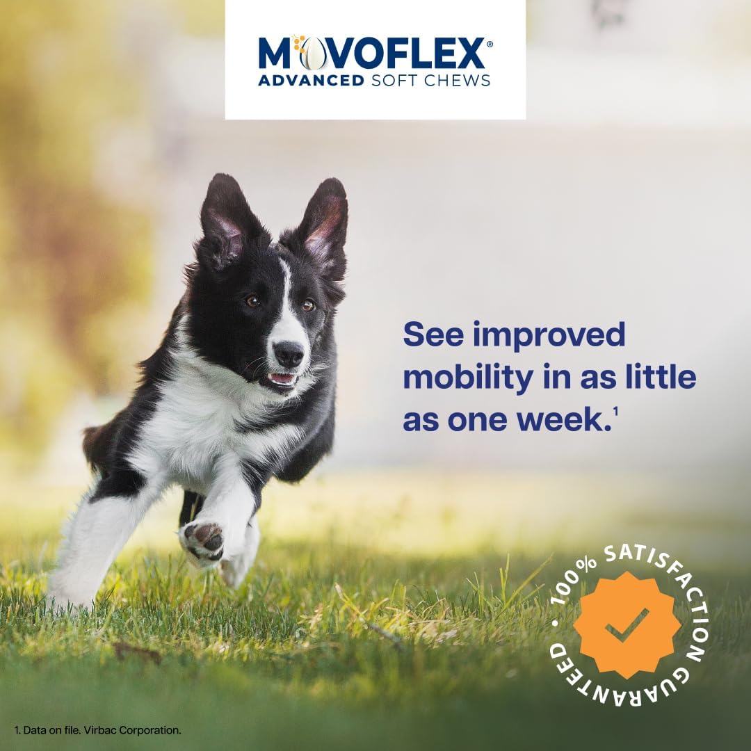 MOVOFLEX Virbac - Suplemento de apoyo avanzado para la cadera y las...
