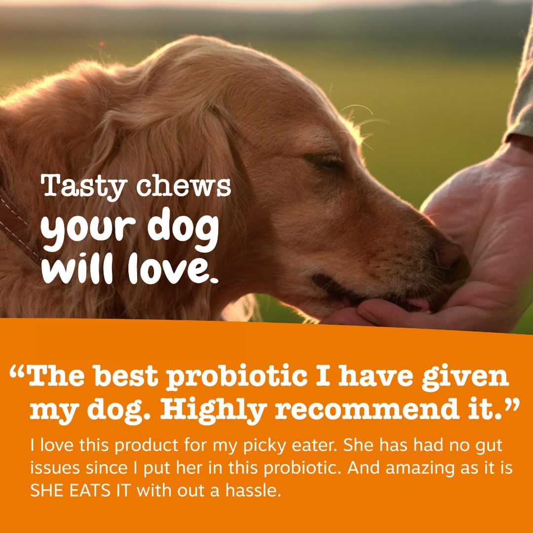 Zesty Paws Probióticos para perros - Enzimas digestivas para la flo...