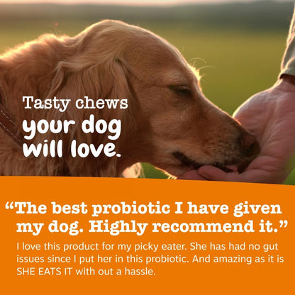 Zesty Paws Probióticos para perros - Enzimas digestivas para la flo...
