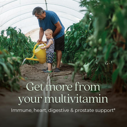 New Chapter One Daily Every Man's Multivitamin 55+ - Ofrece apo...