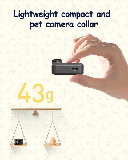 Camlance Cámara de cuello para mascotas 2K con teléfono 32 GB tarje...