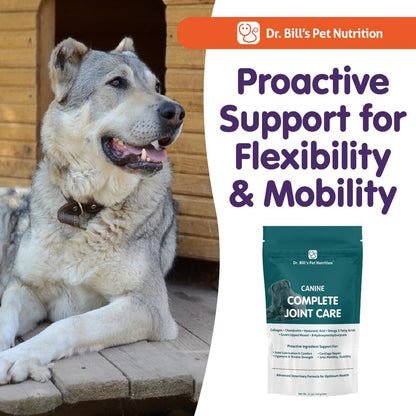 Dr. Bill's Canine Complete Joint Care - Suplemento avanzado par...