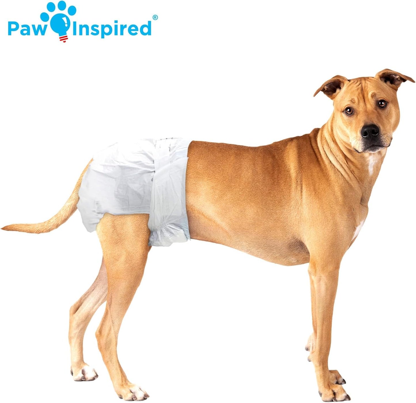 Paw Inspired 32 unidades de pañales desechables para perros | Pañal...
