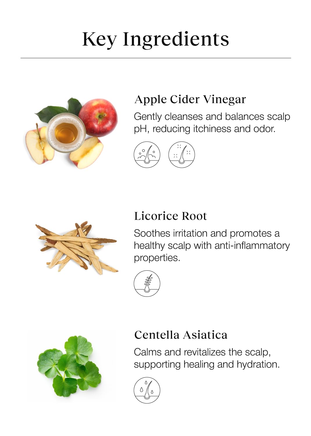 Tónico Limpiador de Cuero Cabelludo Bephor con Vinagre de Sidra de Manzana para Cabello Trenzado, Exfoliante Hidratante para el Cuero Cabelludo Sin Enjuague, 6.76 Fl Oz