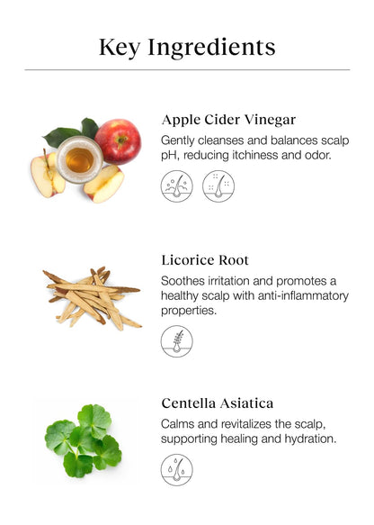 Tónico Limpiador de Cuero Cabelludo Bephor con Vinagre de Sidra de Manzana para Cabello Trenzado, Exfoliante Hidratante para el Cuero Cabelludo Sin Enjuague, 6.76 Fl Oz