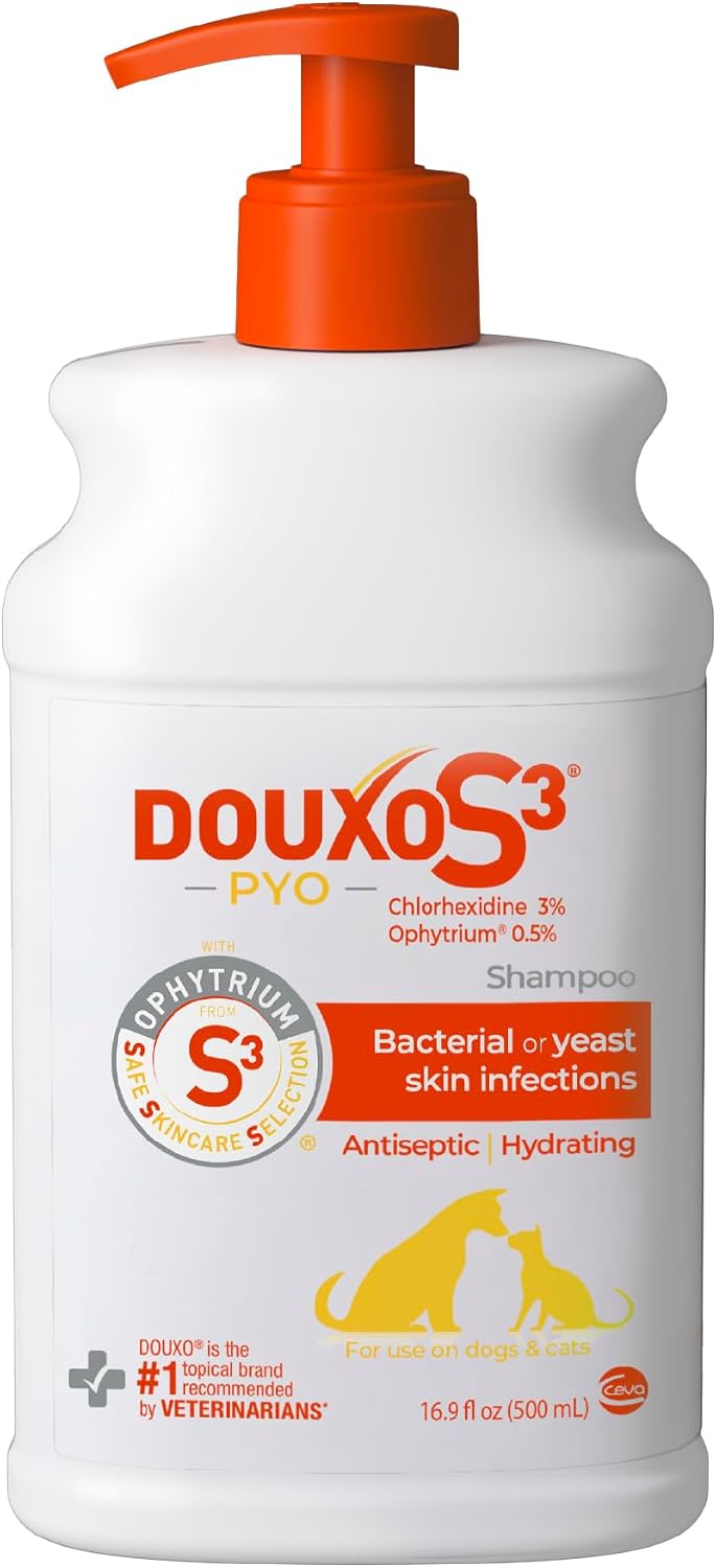 Douxo S3 PYO Champú de clorhexidina para perros, champú medicado an...