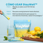 DAILYNOURI StayWell - Mezcla de bebida digestiva e inmunitaria | Ap...