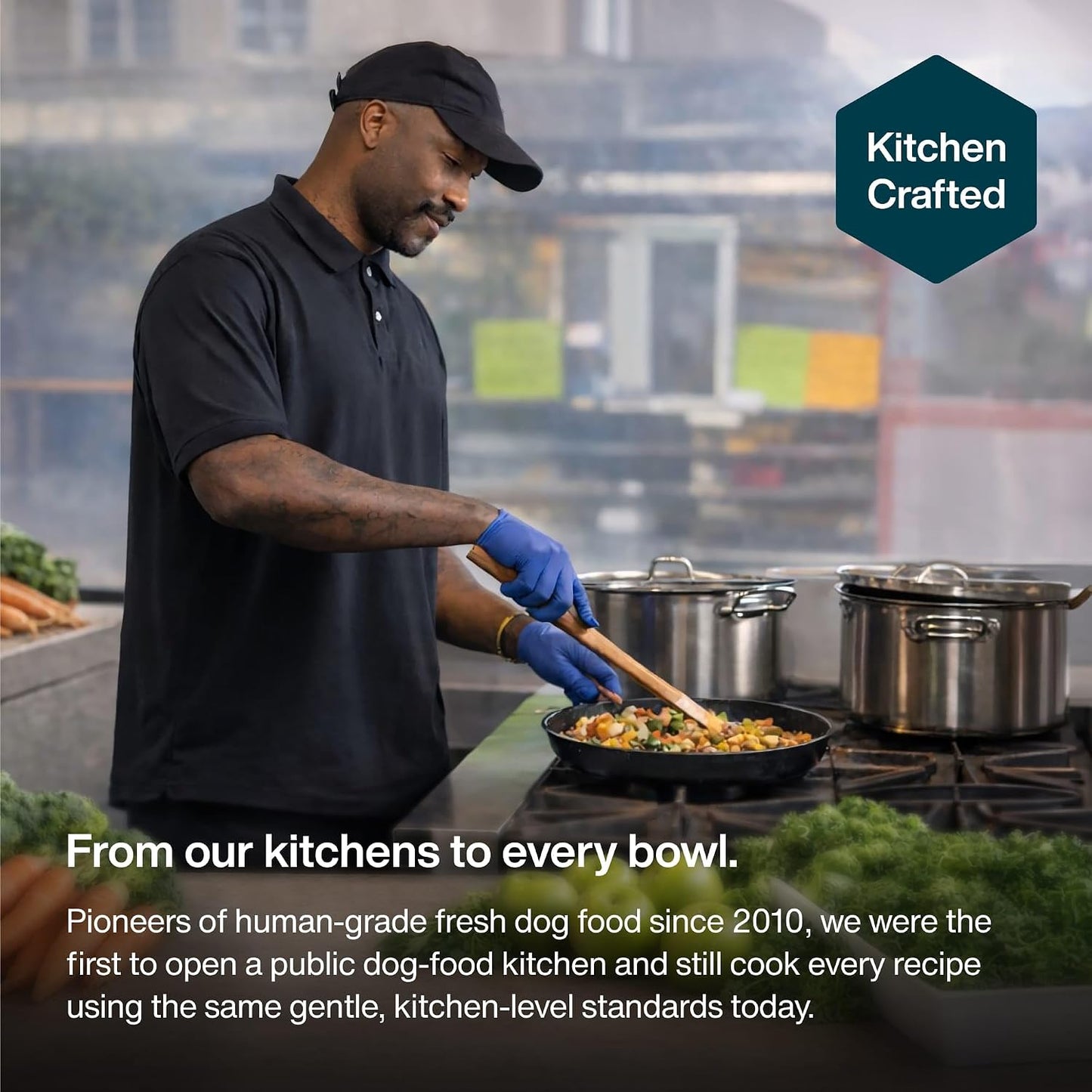 JustFoodForDogs JustFresh - Alimento húmedo para perros, comidas fr...