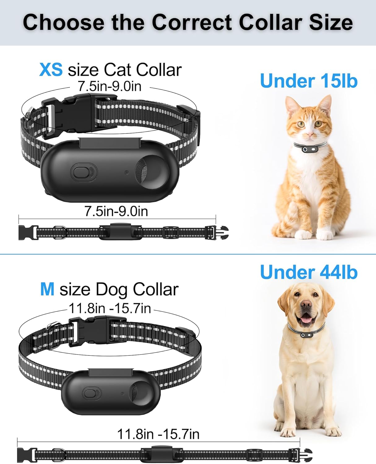 ZoomaraKam Collar de cámara para perros y gatos, grabación de video...