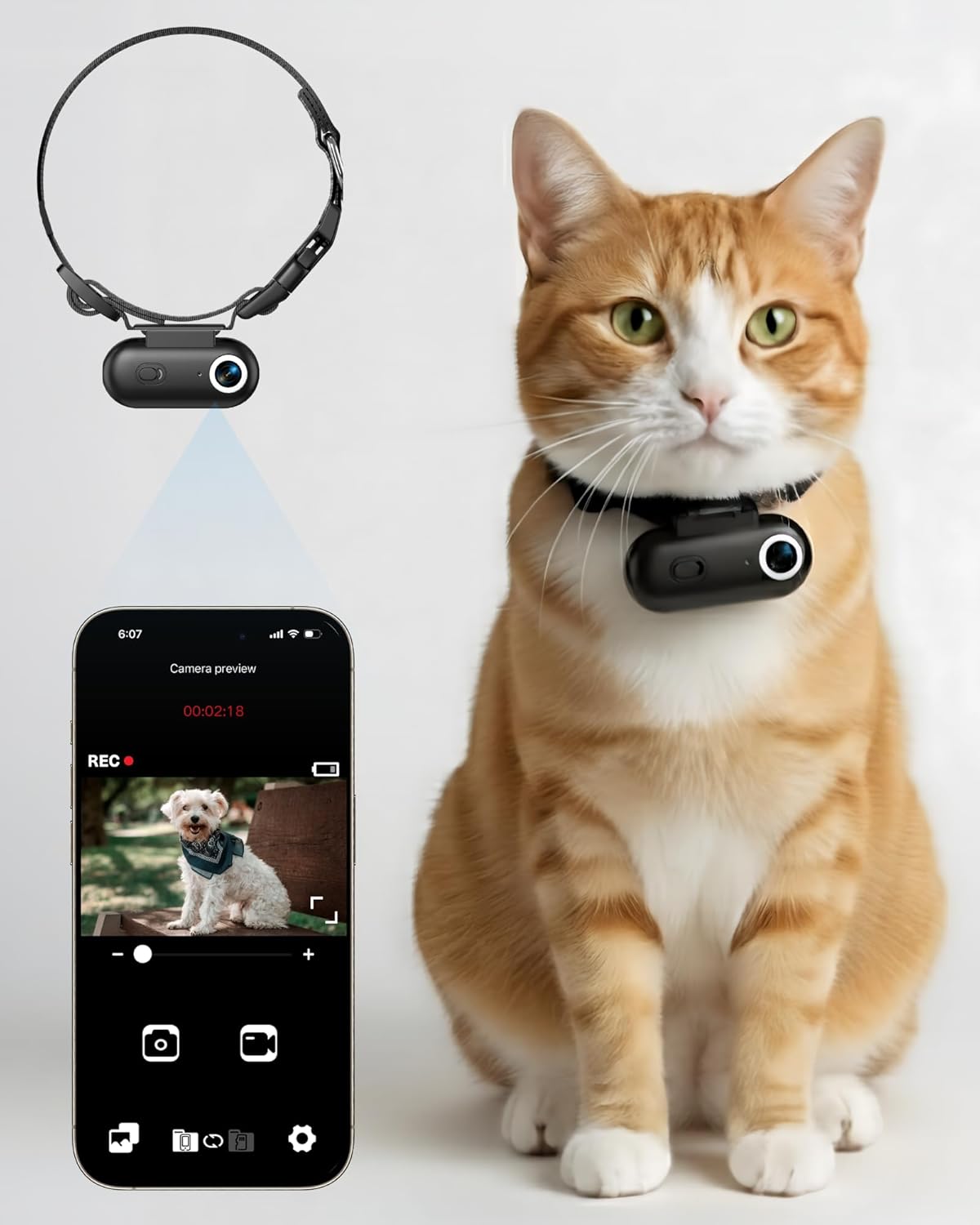 Collar de cámara para gatos con aplicación de teléfono, grabación d...