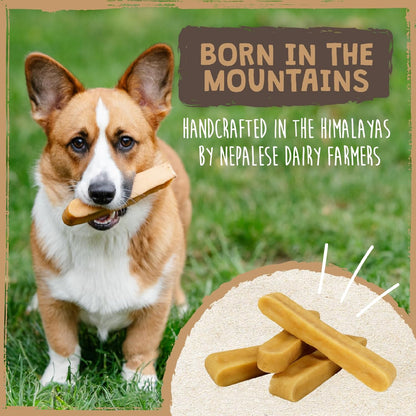 Mighty Paw Yak Cheese - Masticables para perros \u2013 Masticables...
