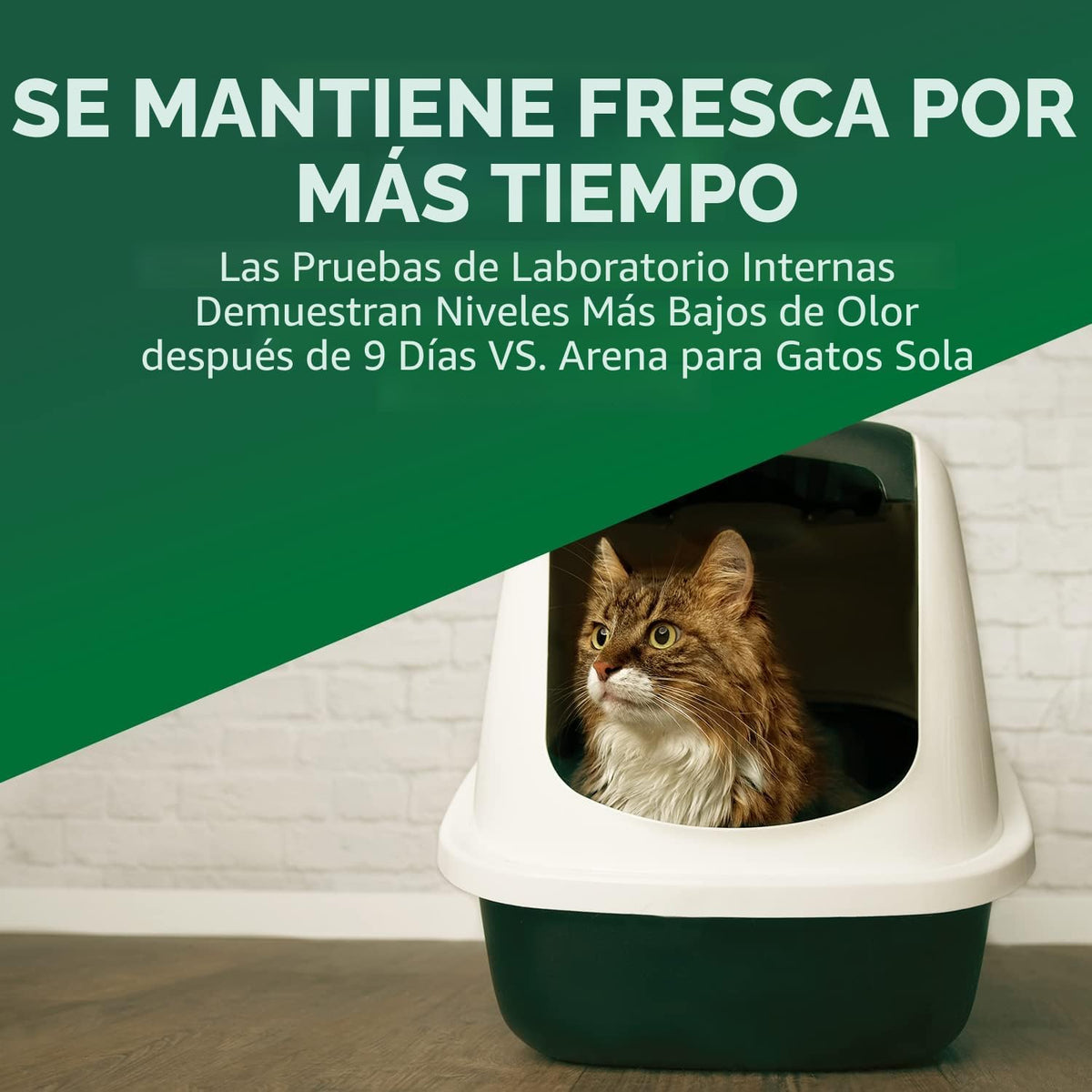 ARM &amp; HAMMER Desodorizador de arena para gatos Double Duty, 30...