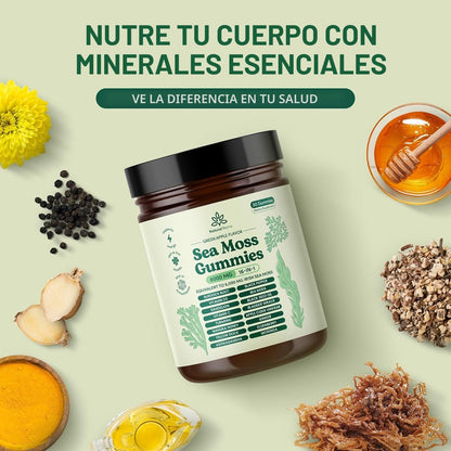Natural Rems Gomitas de Musgo Marino 16 en 1 - Ashwagandha Aceite d...