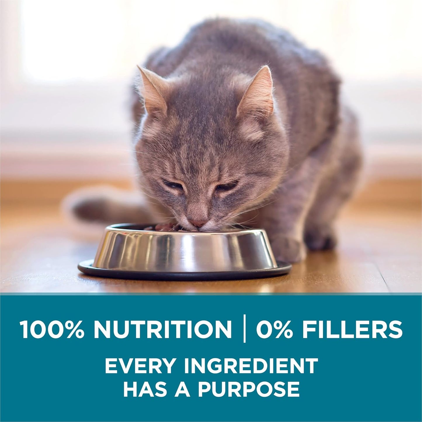 Purina ONE Comida seca natural para gatos, mezcla Tender Selects co...