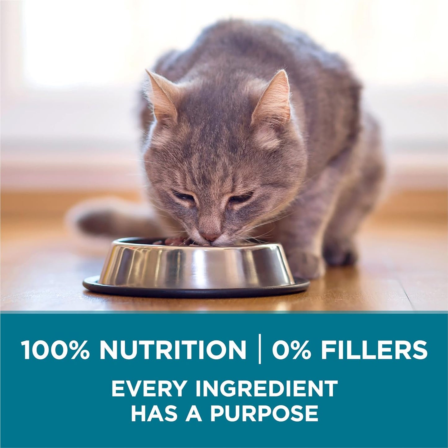 Purina ONE Alimento seco natural para gatos, mezcla Tender Selects...