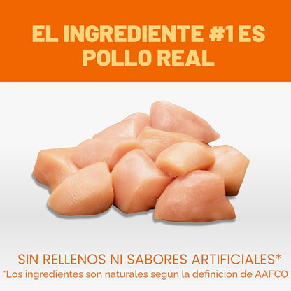 IAMS Proactive Health Alimento seco saludable para gatos adultos co...