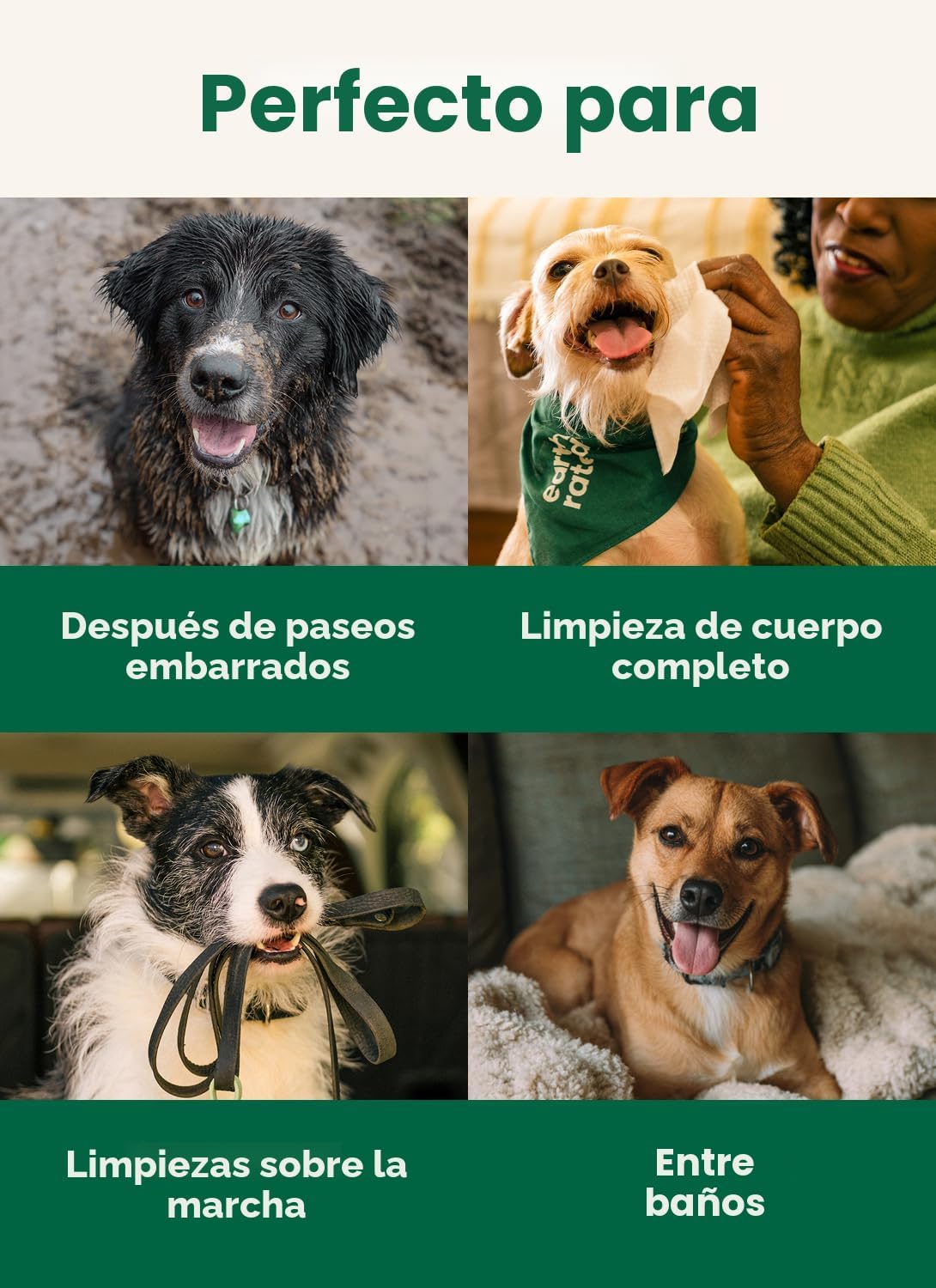 Earth Rated Toallitas para mascotas para perros y gatos, hipoalergé...