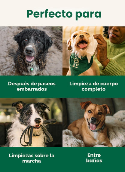 Earth Rated Toallitas para mascotas para perros y gatos, hipoalergé...