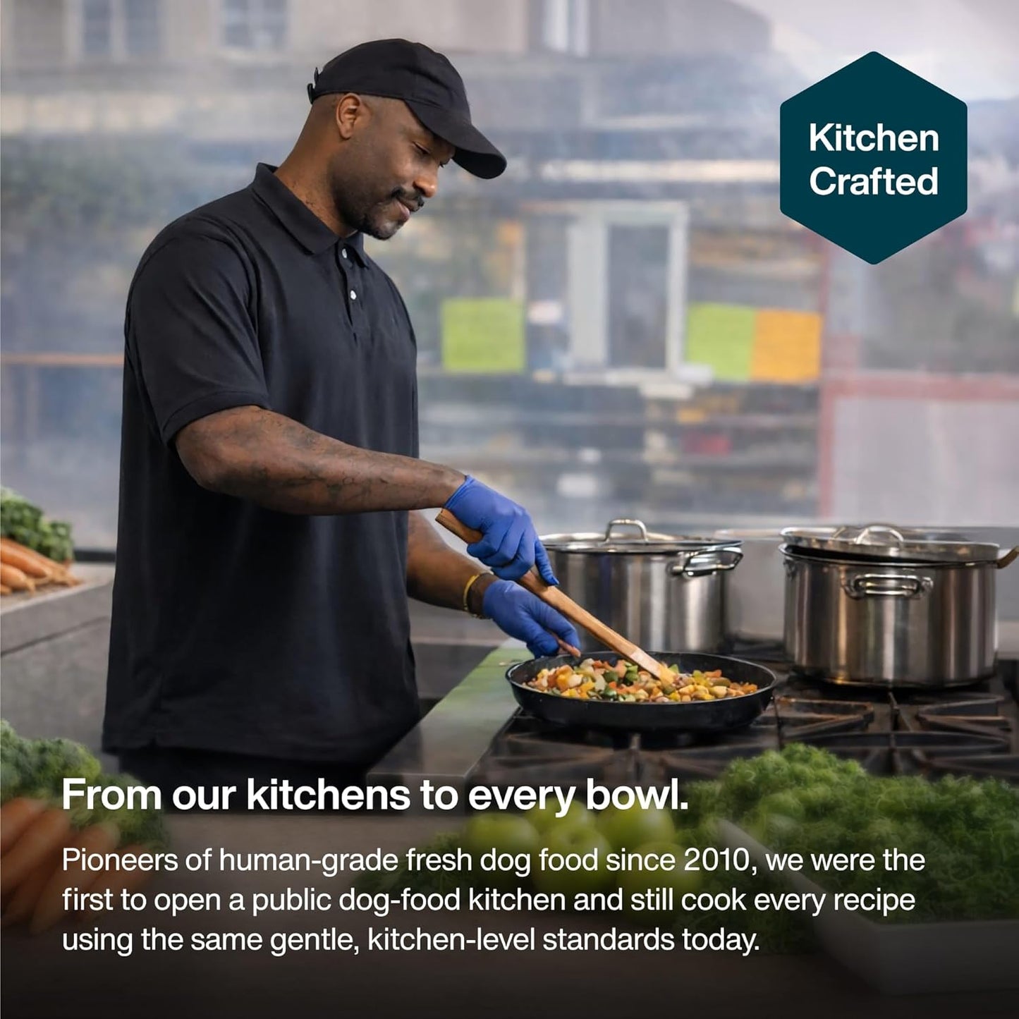 JustFoodForDogs JustFresh - Comida húmeda para perros, comidas fres...