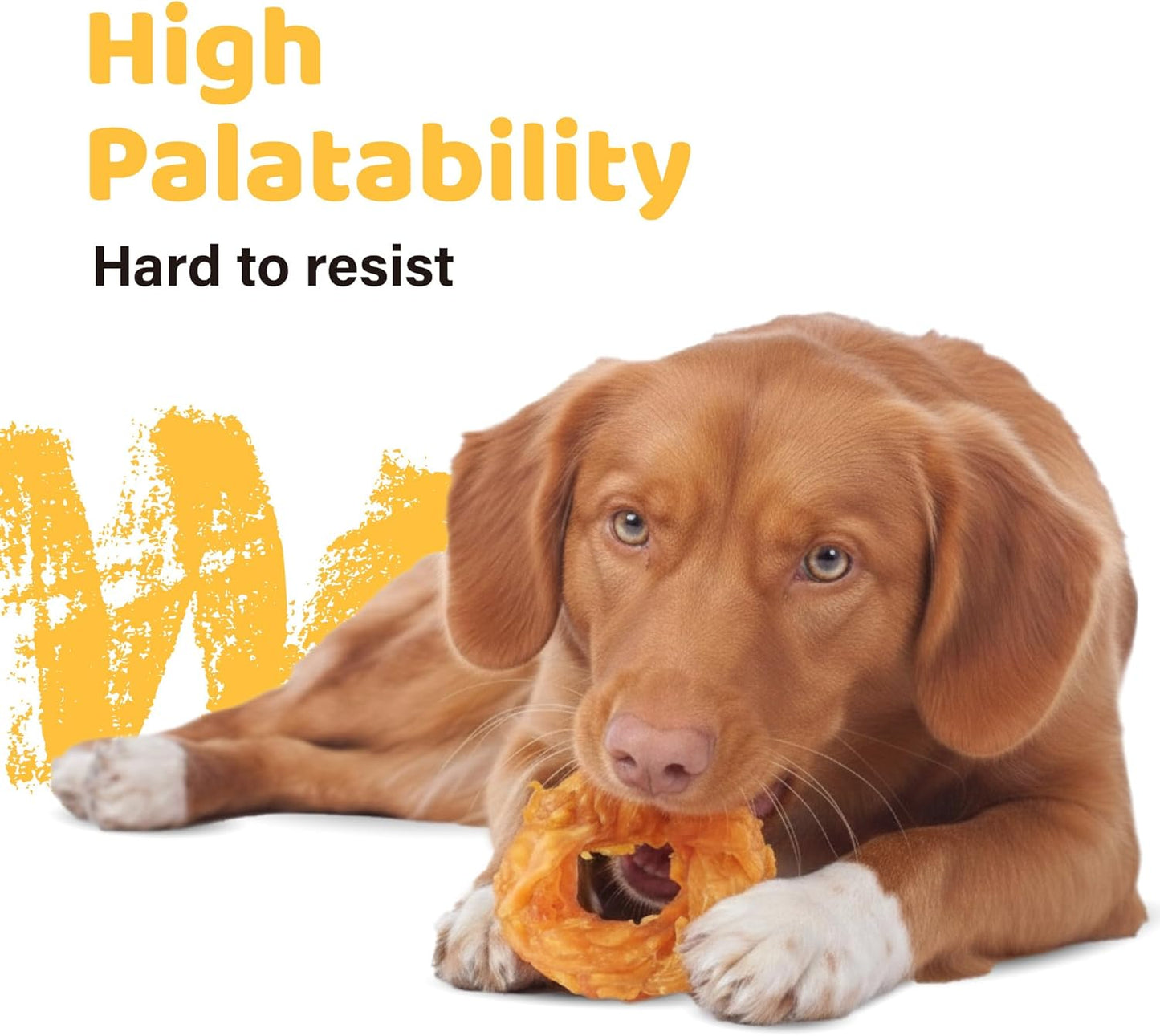 iPaw Tendones de Pavo para Perros Paquete de Valor de 10 Piezas, 10...