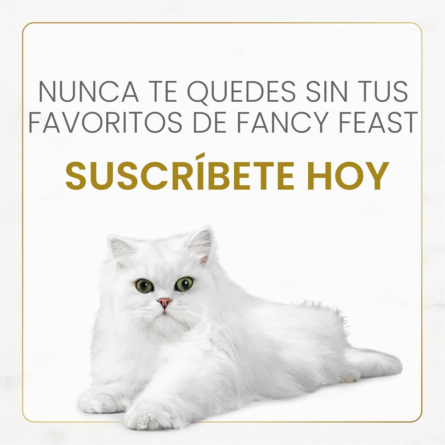 Purina Fancy Feast Gravy Lovers - Paquete variado de alimentos húme...