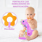 Juguetes Musicales de Peluche de Dinosaurio Bebé para 0-3-6-9-12 Me...