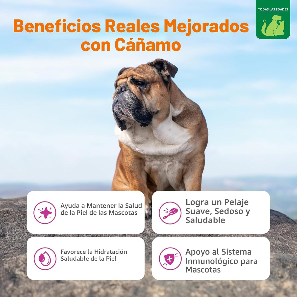 Zesty Paws Aceite de cáñamo omega de salmón para perros y gatos con...