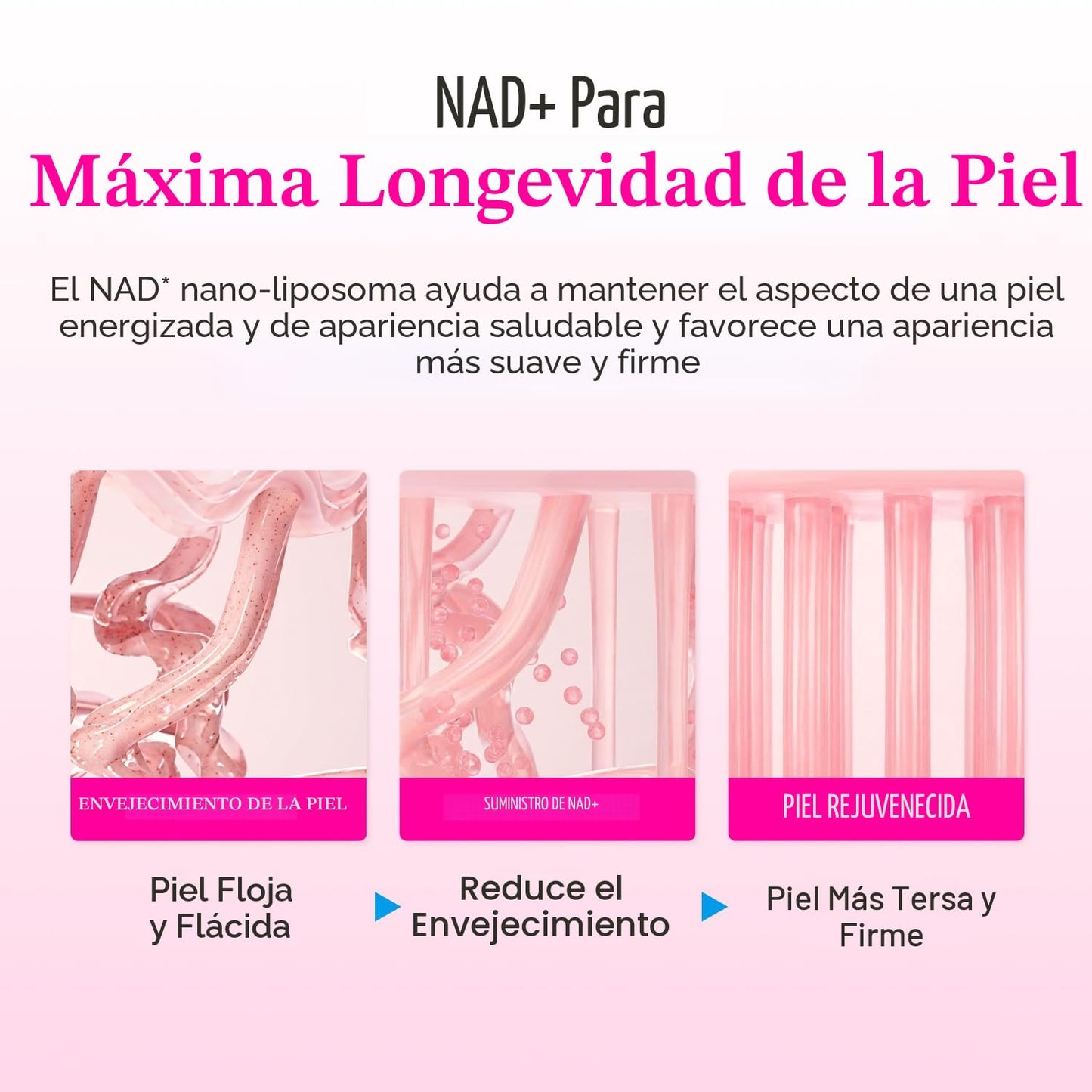 EQQUALBERRY NAD+ Crema potenciadora de péptidos \u2013 NAD+ 5% y 13...